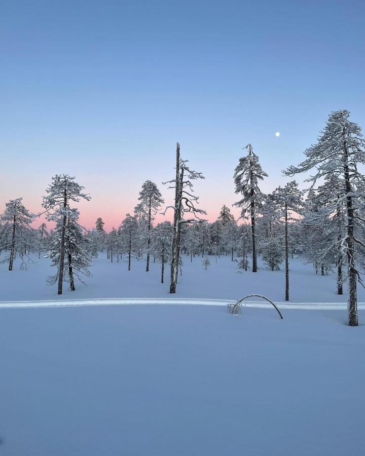 Sofia Rovaniemi City Apartment 외부 사진